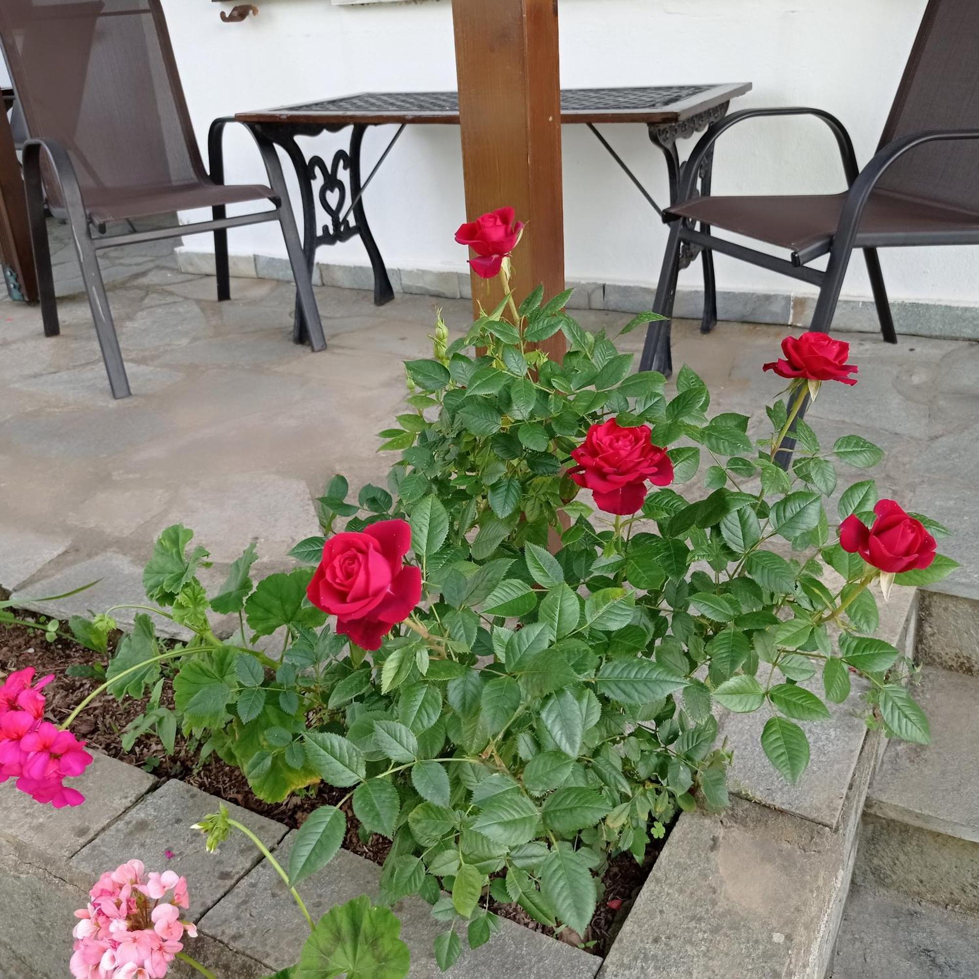Asprovalta Rooms Kariotes Zewnętrze zdjęcie