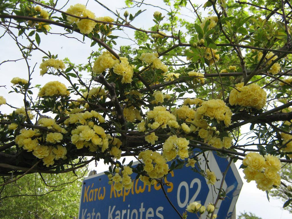 Asprovalta Rooms Kariotes Zewnętrze zdjęcie